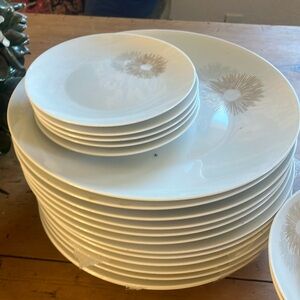 Rosenthal Sunburst China set